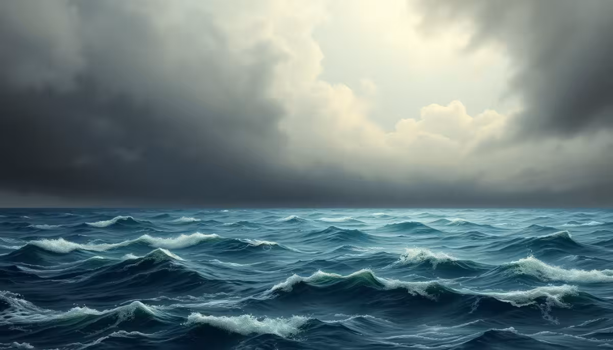 Tampa Weather: Frontal boundary brings rain, wind and cooler air to Sarasota