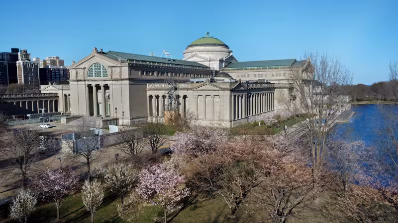 PHOTOS: Jackson Park's Famous Cherry Blossom Trees Begin To Bloom