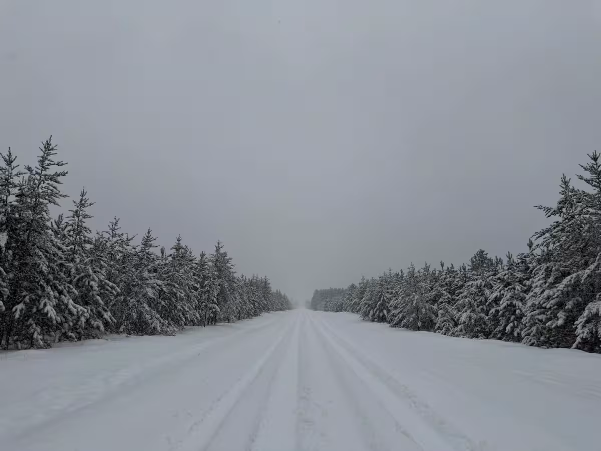 Snowsquall Warning Brings 11 Inches to Bemidji as Travel Turns Difficult