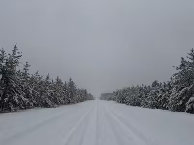 Snowsquall Warning Brings 11 Inches to Bemidji as Travel Turns Difficult