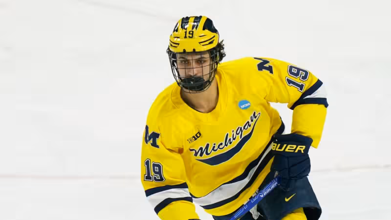 Tough decisions loom for Canadiens' St. Louis, including what to do with Hage