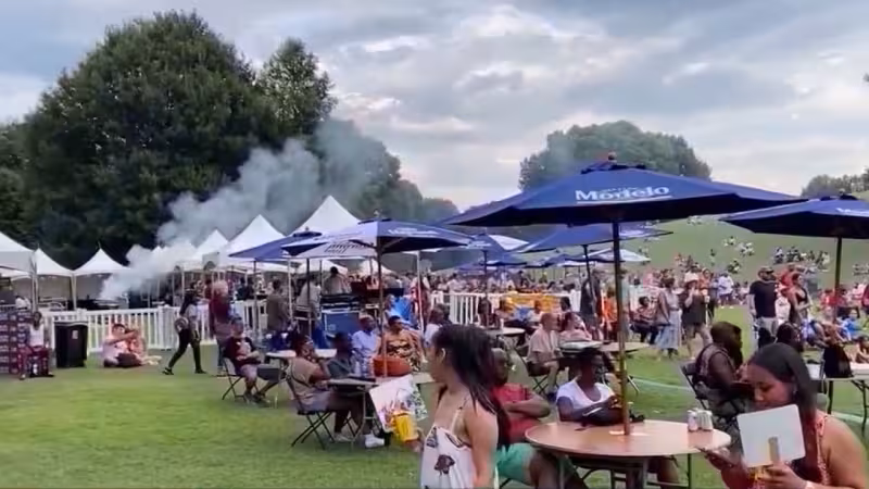 APD floods Piedmont Park with police for Dogwood Festival