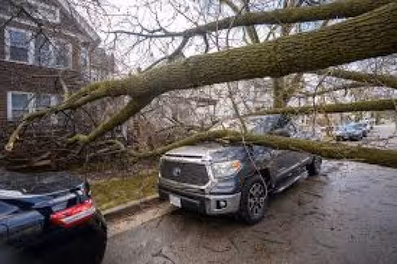 See aftermath of severe weather in Milwaukee area