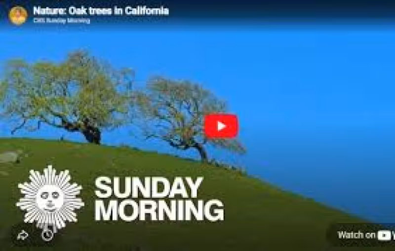 Rolling green hills of Petaluma spotlighted in ‘CBS Sunday Morning’ segment