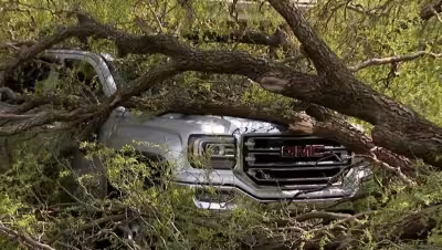 Tornado Warning Milwaukee: North Prairie storm toppples trees, damages homes