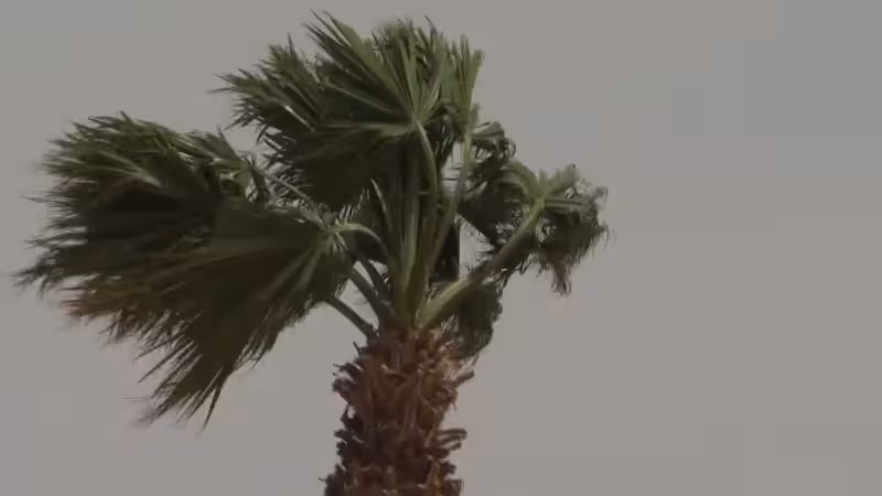 Gusty winds bring temperature drops to Las Vegas