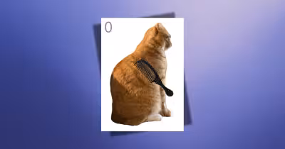 Brush Jjaemu goes viral as a cat-brushing browser game with a deadly twist