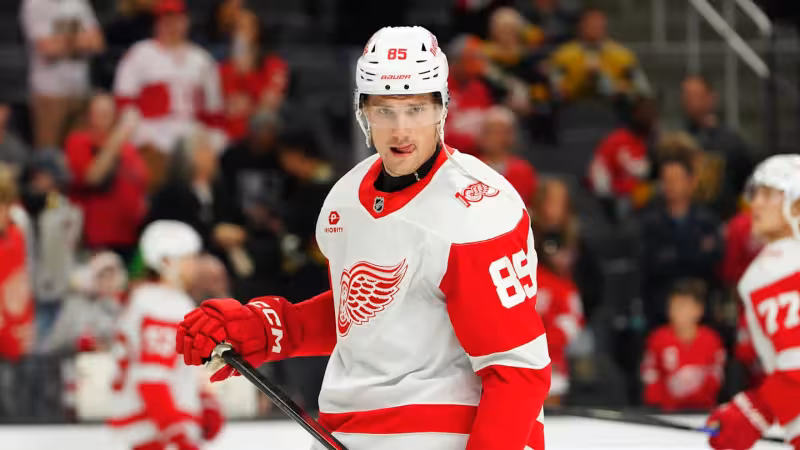 This Red Wings trade deadline deal is already aging horribly