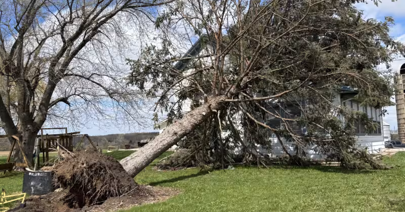 National Weather Service confirms 7 tornadoes touched down in Southeast Wisconsin on April 17