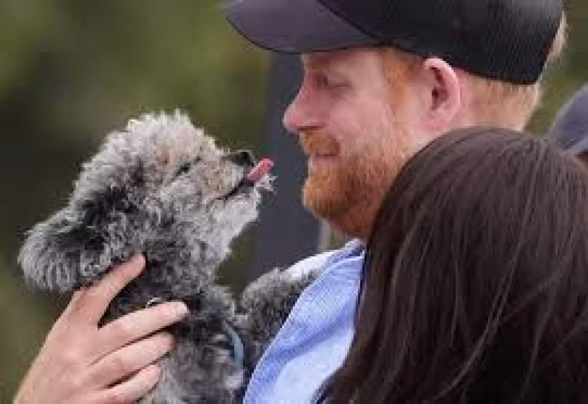 Daily Mail embargo breach forced last-minute Sussex itinerary changes