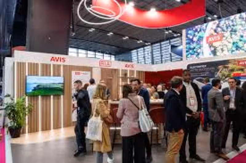 Avis Stock Soared 264% in a Month. What Could Be Driving the Shares Higher.