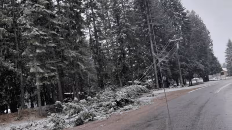 Trump approves major disaster declaration for 10 Idaho counties after Dec. windstorm