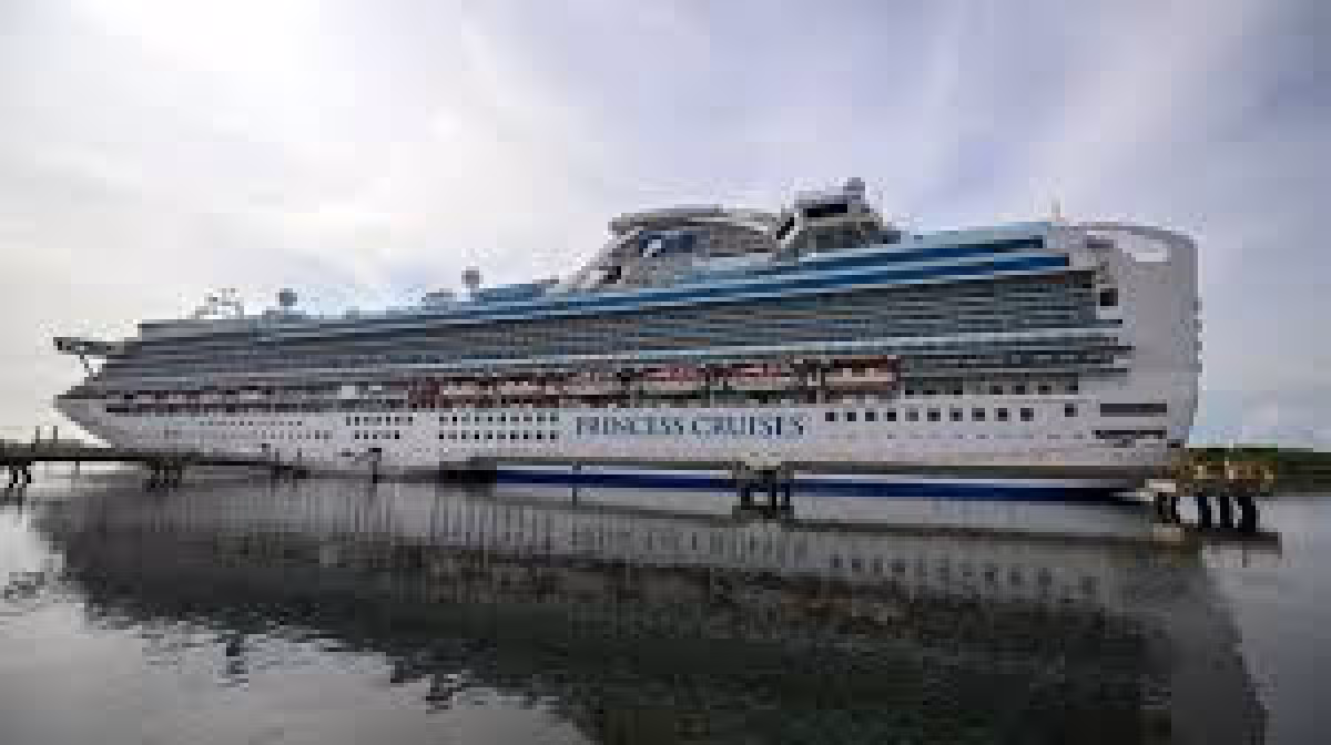 Princess Cruises ship recovers five bodies after sighting lifejacket