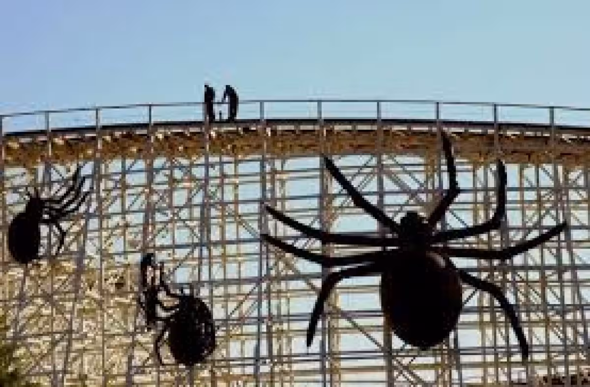 Six Flags Great America marks 50th season with throwbacks, parade and museum