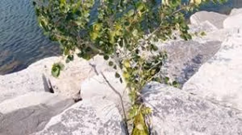 Learn to sail at Watkins Glen Yacht Club. Classes set for all skills