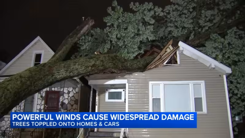 Strong storms rip roof from school, knock trees onto houses and delay travel in Chicago area