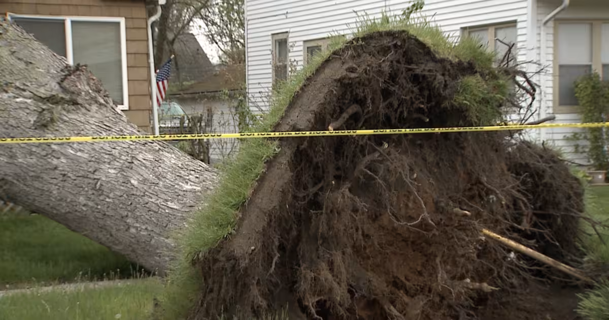 Wfaa Weather: Massive tree crashes through Kalamazoo home, leaves family displaced