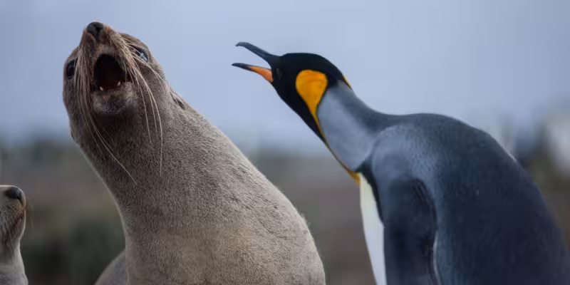 Linux cryptographic code flaw offers fast route to root