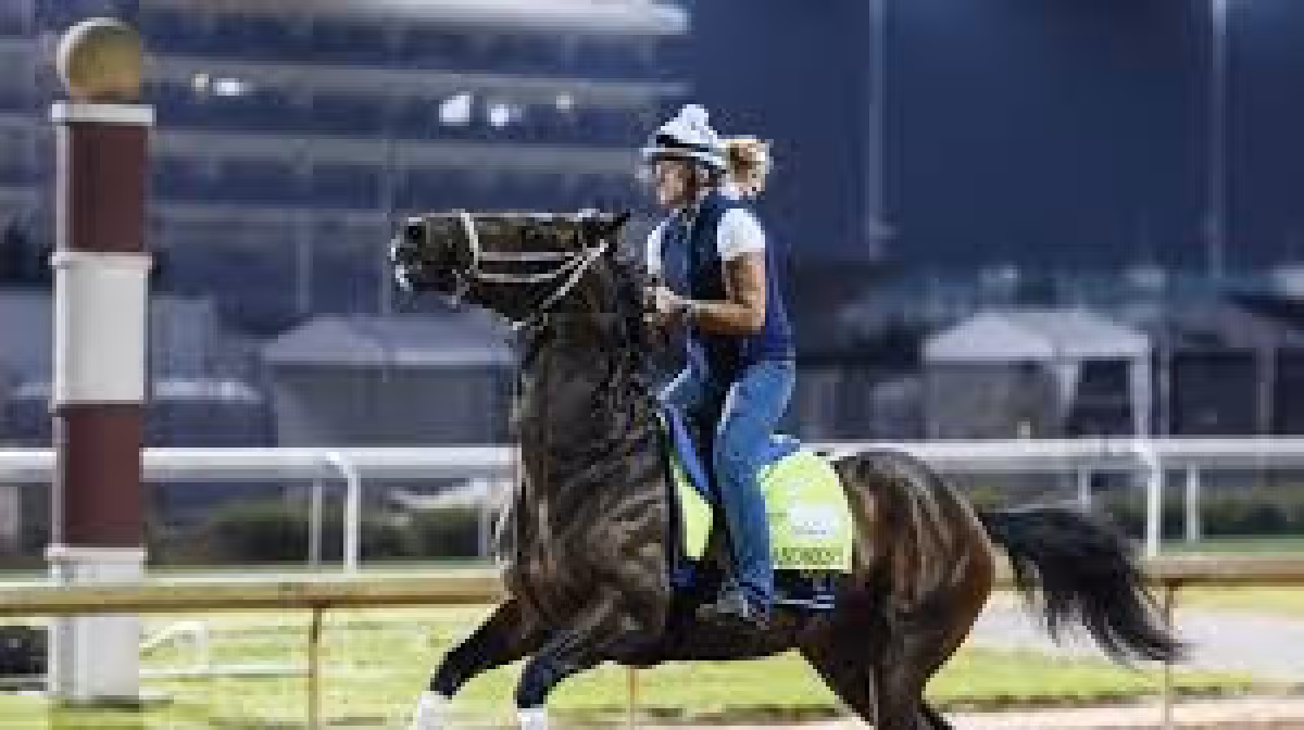 Derby Horses 2026: Emerging Market lurks at 15-1 in 20-horse Derby field