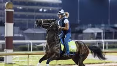 Derby Horses 2026: Emerging Market lurks at 15-1 in 20-horse Derby field