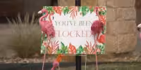 Flamingo Fundraiser Helps Dave’s Wish Ease Hospice Costs for Families