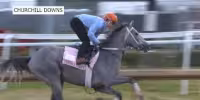Dave Portnoy backs Lovely Grey as Kentucky Oaks longshot at Churchill Downs