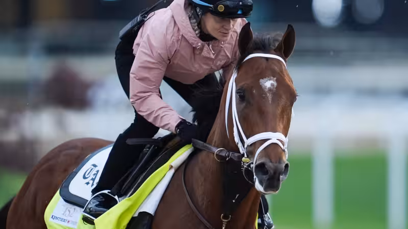 Preakness Stakes Odds 2026: Renegade Favored at +1000 in Preakness Future Wager Pool