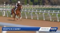 Wonder Dean ranking spotlights 2026 Kentucky Derby horse names
