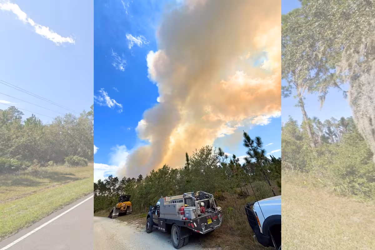 Gainesville Fire grows past 100 acres, shuts road in Hawthorne