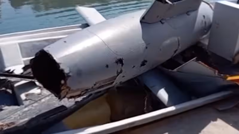 Iran releases video said to show US drone shot down over Hormuz