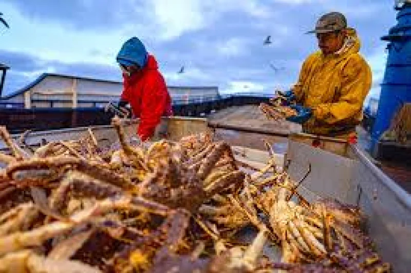 Deadliest Catch opens season 22 with Todd Meadows tribute after fatal fall